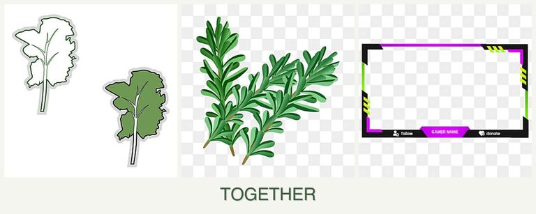 Can you plant kale, rosemary and limes together?