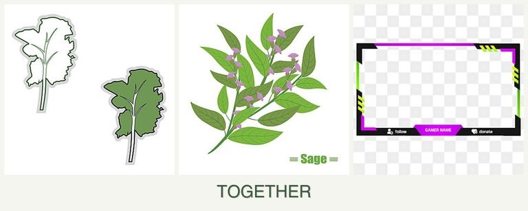 Can you plant kale, sage and limes together?