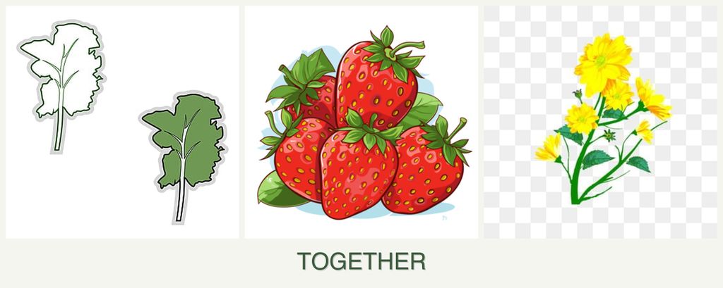 Can you plant kale, strawberries and calendula together?