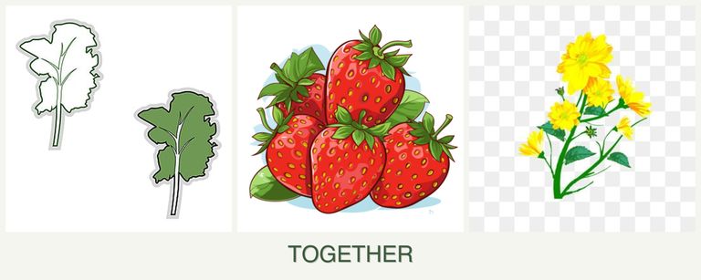 Can you plant kale, strawberries and calendula together?