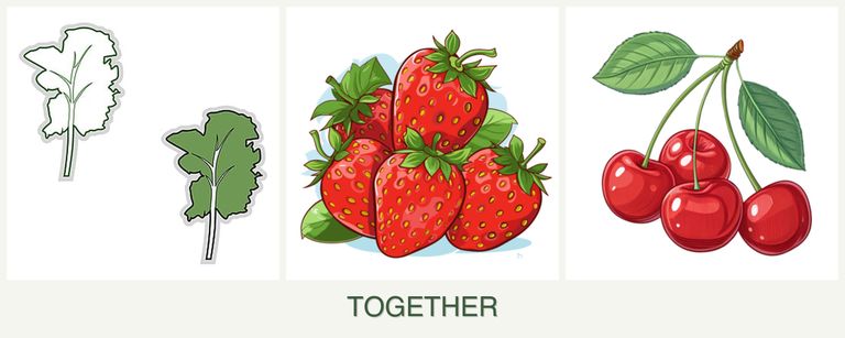 Can you plant kale, strawberries and cherries together?
