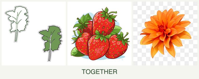 Can you plant kale, strawberries and dahlias together?