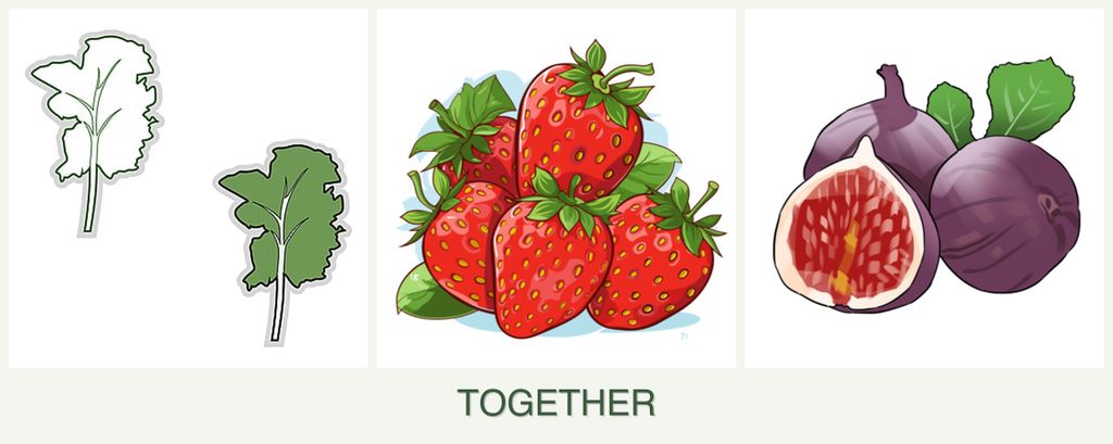 Can you plant kale, strawberries and figs together?