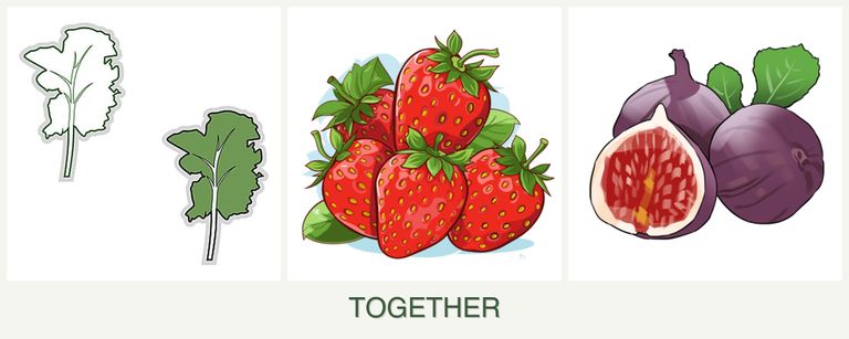 Can you plant kale, strawberries and figs together?