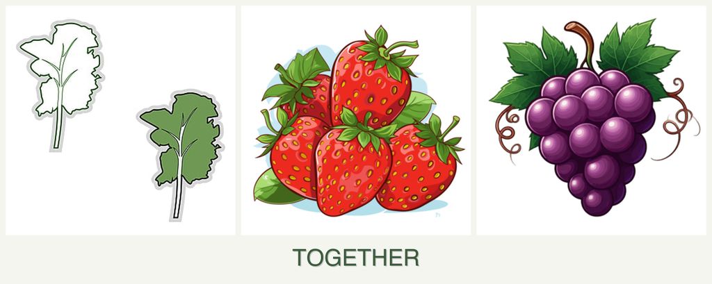 Can you plant kale, strawberries and grapes together?