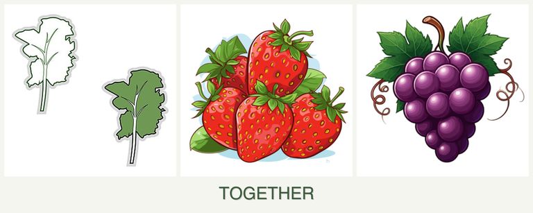 Can you plant kale, strawberries and grapes together?