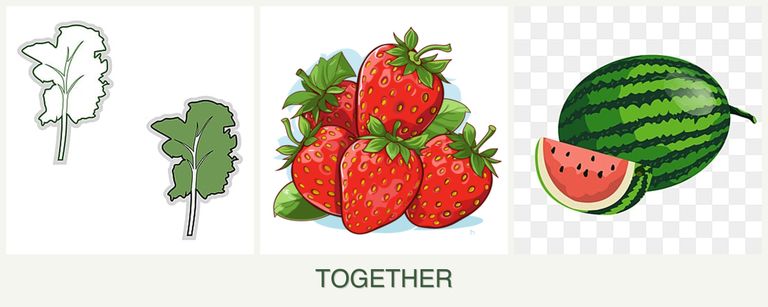 Can you plant kale, strawberries and melons together?