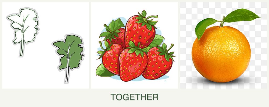 Can you plant kale, strawberries and oranges together?