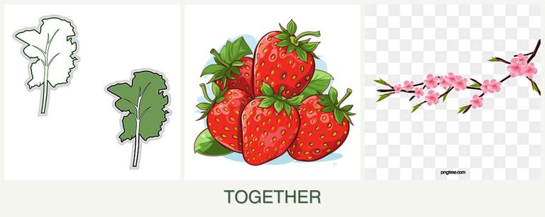 Can you plant kale, strawberries and peaches together?