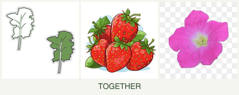 Can you plant kale, strawberries and petunias together?