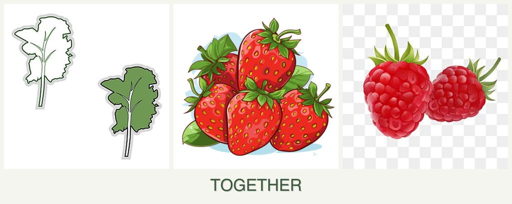 Can you plant kale, strawberries and raspberries together?