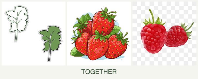 Can you plant kale, strawberries and raspberries together?