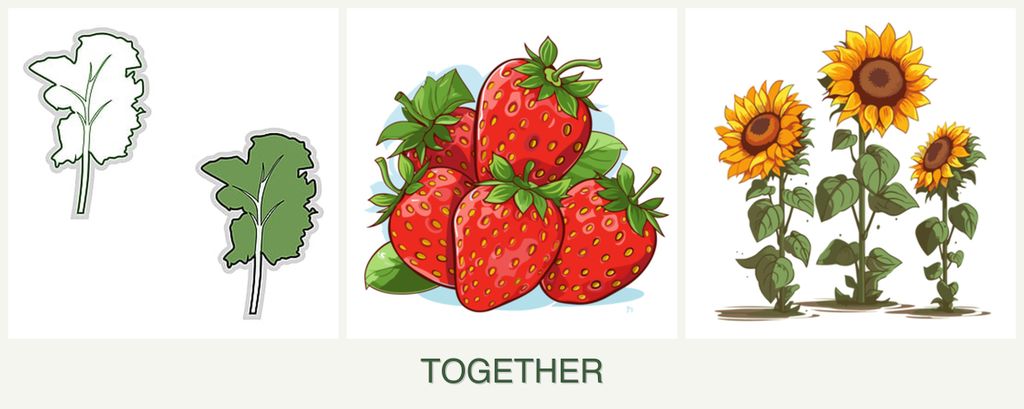 Can you plant kale, strawberries and sunflowers together?