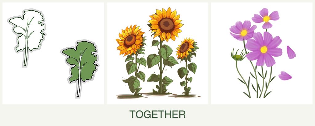 Can you plant kale, sunflowers and cosmos together?