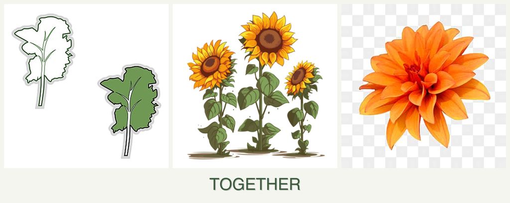 Can you plant kale, sunflowers and dahlias together?