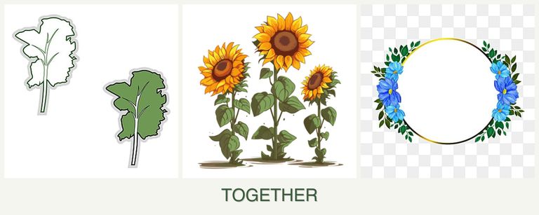 Can you plant kale, sunflowers and zinnias together?