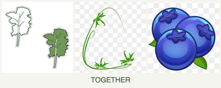Can you plant kale, tarragon and blueberries together?