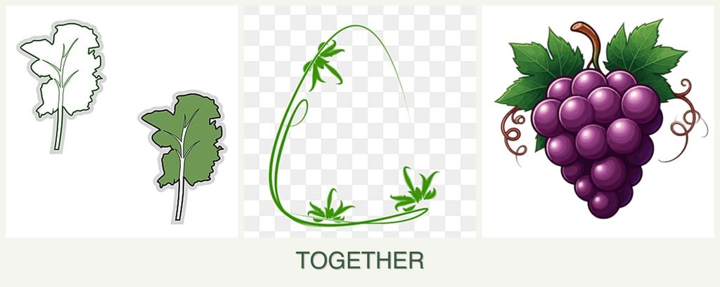 Can you plant kale, tarragon and grapes together?