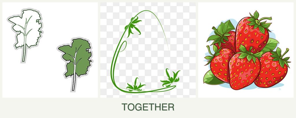 Can you plant kale, tarragon and strawberries together?