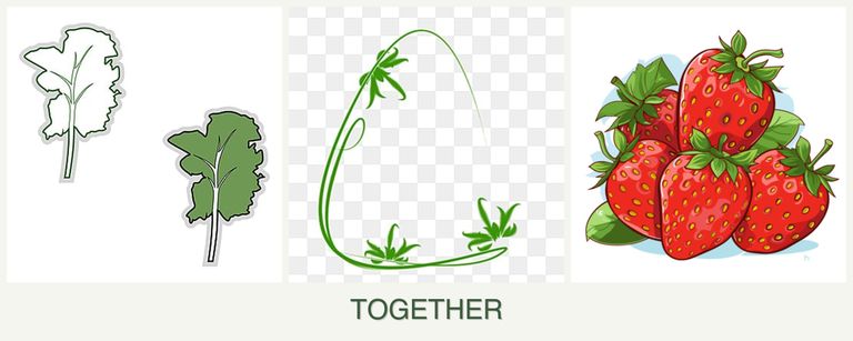 Can you plant kale, tarragon and strawberries together?