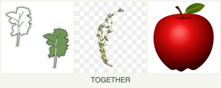 Can you plant kale, thyme and apples together?
