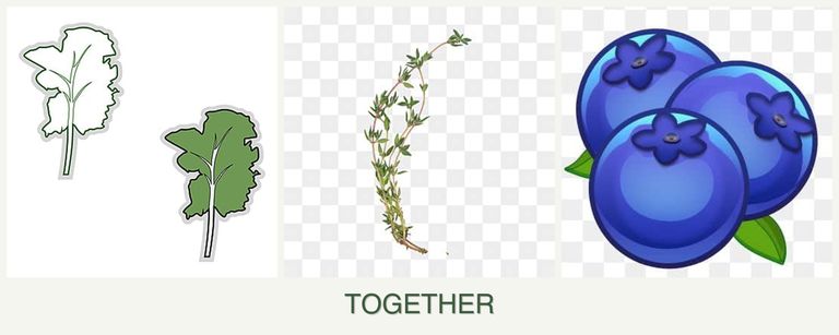 Can you plant kale, thyme and blueberries together?