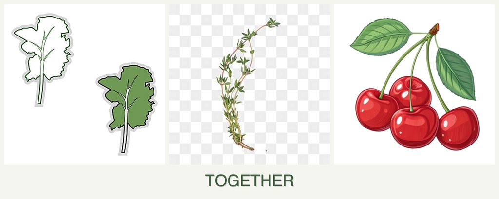 Can you plant kale, thyme and cherries together?