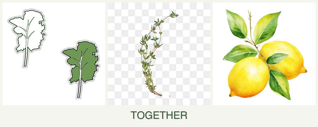 Can you plant kale, thyme and lemons together?