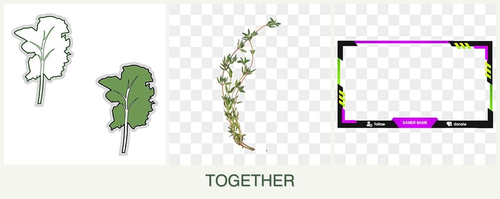 Can you plant kale, thyme and limes together?
