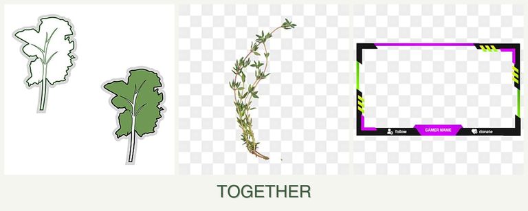 Can you plant kale, thyme and limes together?