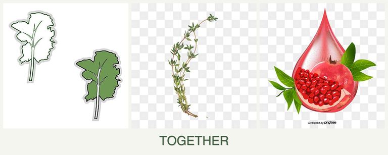 Can you plant kale, thyme and pomegranates together?