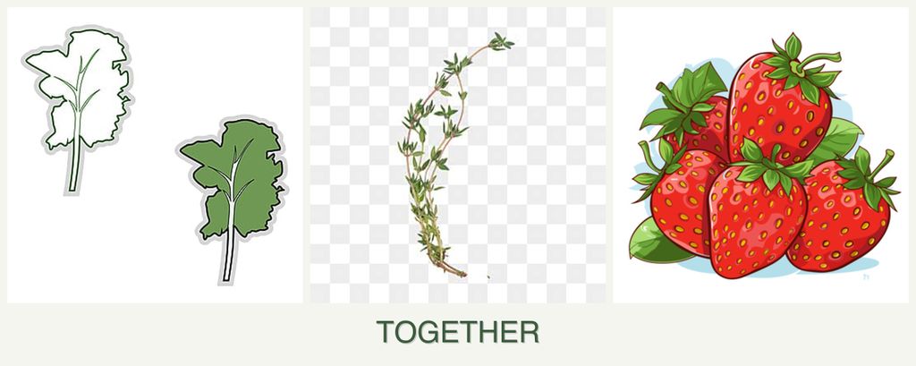 Can you plant kale, thyme and strawberries together?