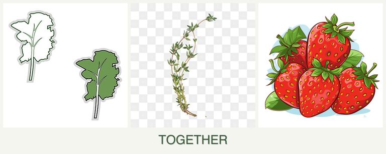 Can you plant kale, thyme and strawberries together?