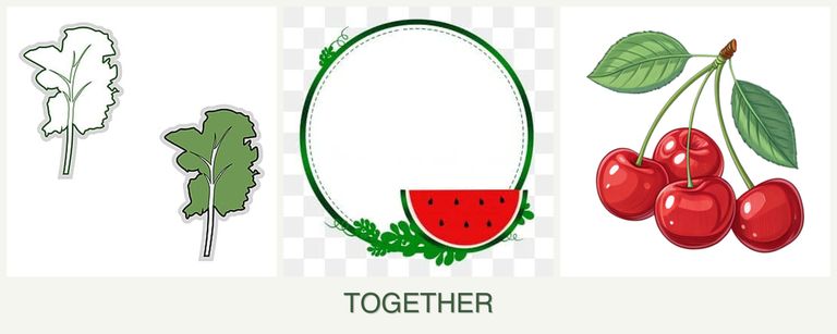 Can you plant kale, watermelons and cherries together?
