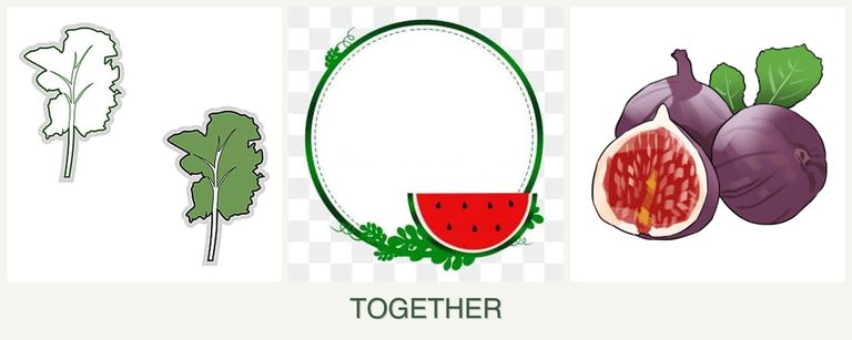 Can you plant kale, watermelons and figs together?