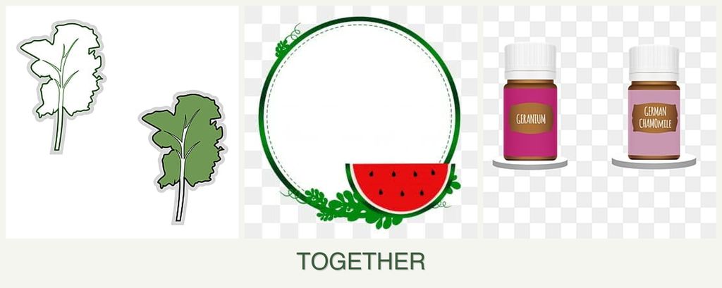 Can you plant kale, watermelons and geraniums together?