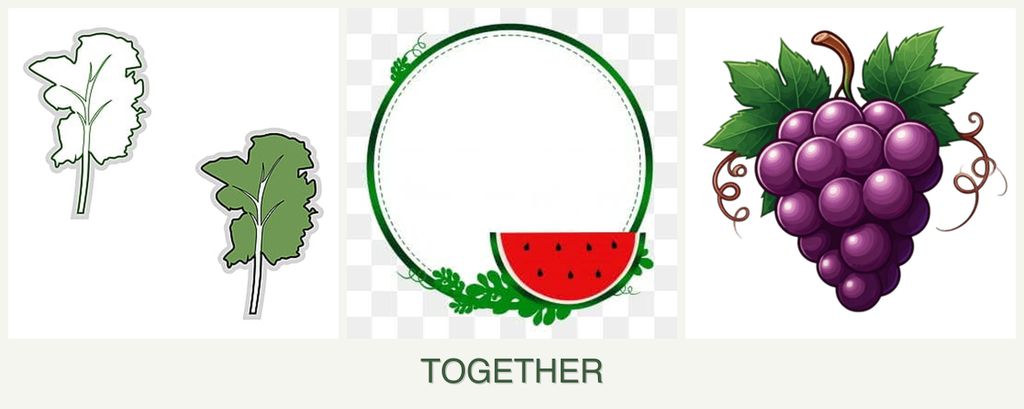 Can you plant kale, watermelons and grapes together?