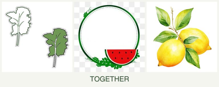 Can you plant kale, watermelons and lemons together?