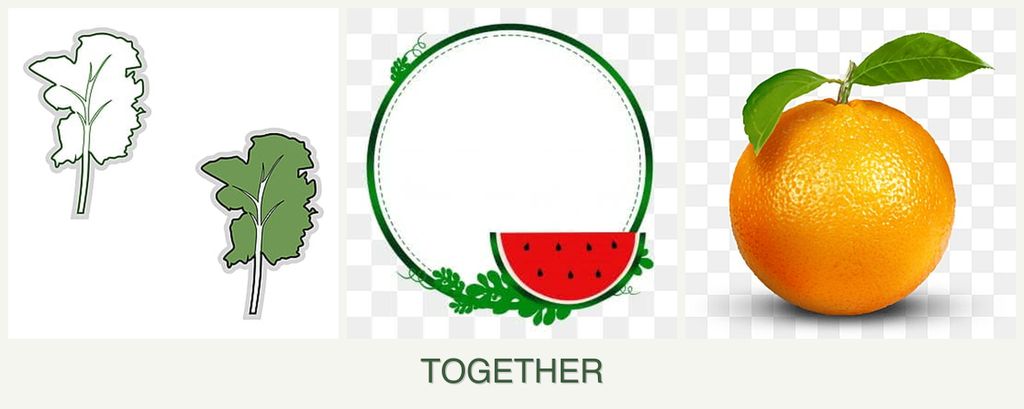 Can you plant kale, watermelons and oranges together?