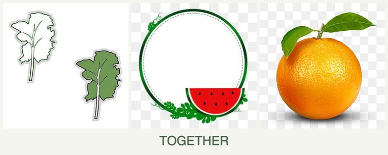 Can you plant kale, watermelons and oranges together?