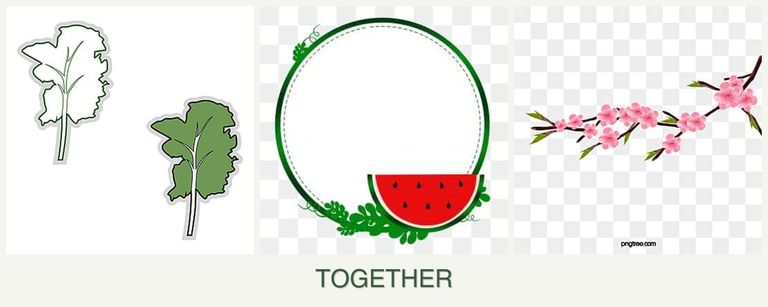Can you plant kale, watermelons and peaches together?