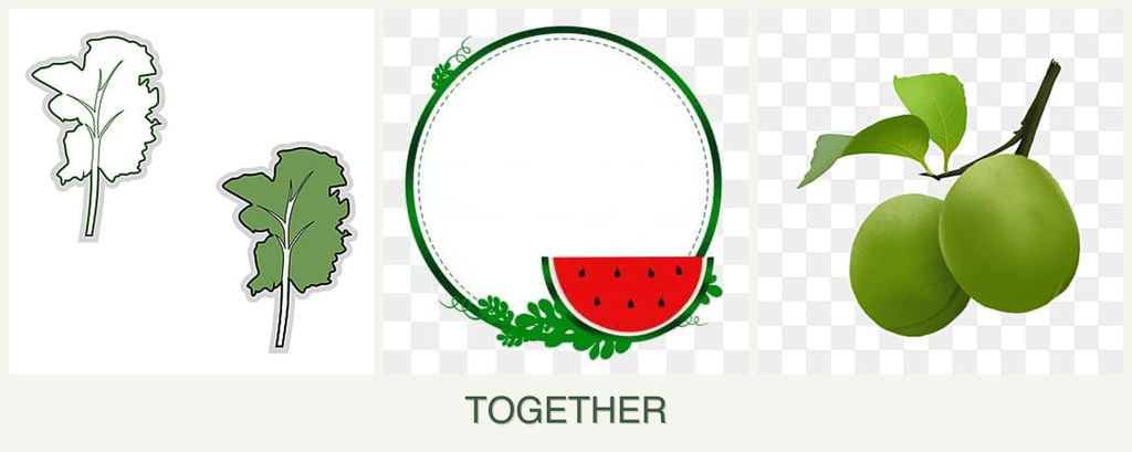Can you plant kale, watermelons and plums together?