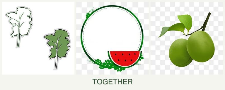 Can you plant kale, watermelons and plums together?