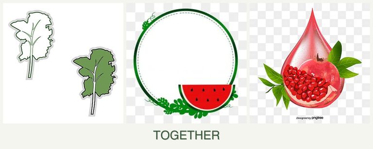 Can you plant kale, watermelons and pomegranates together?