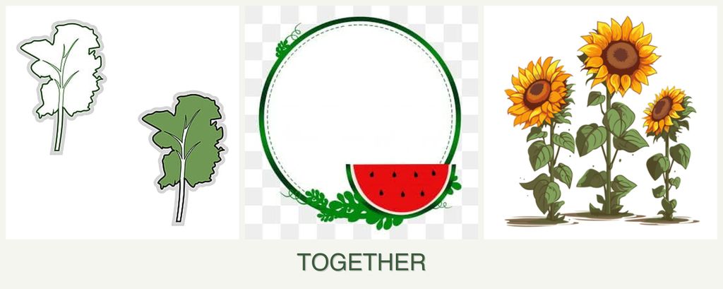 Can you plant kale, watermelons and sunflowers together?