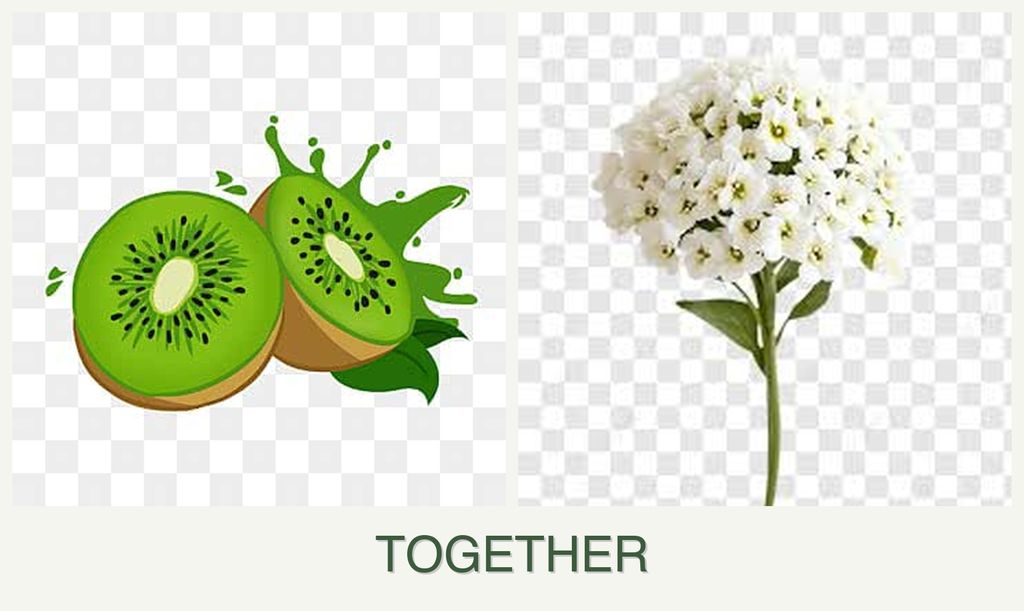 Can you plant kiwi and alyssum together?