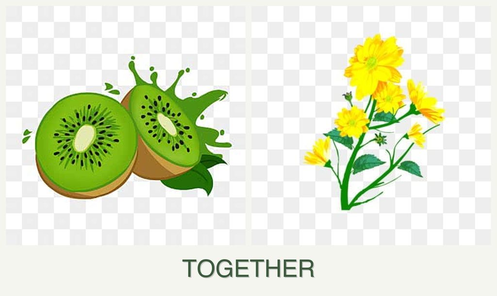 Can you plant kiwi and calendula together?