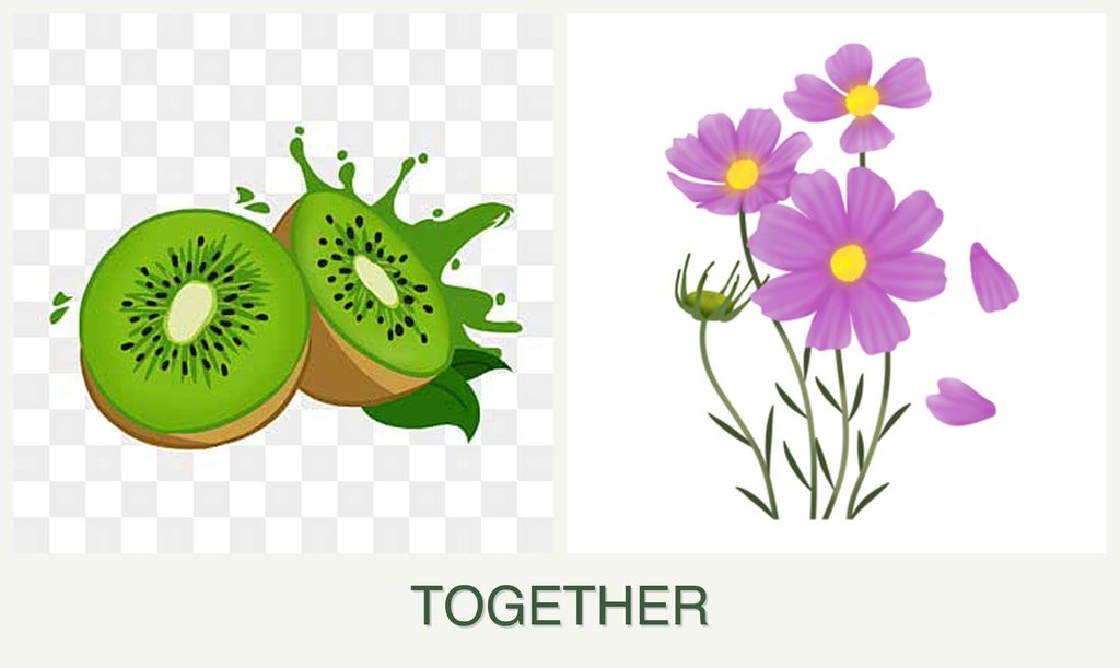 Can you plant kiwi and cosmos together?