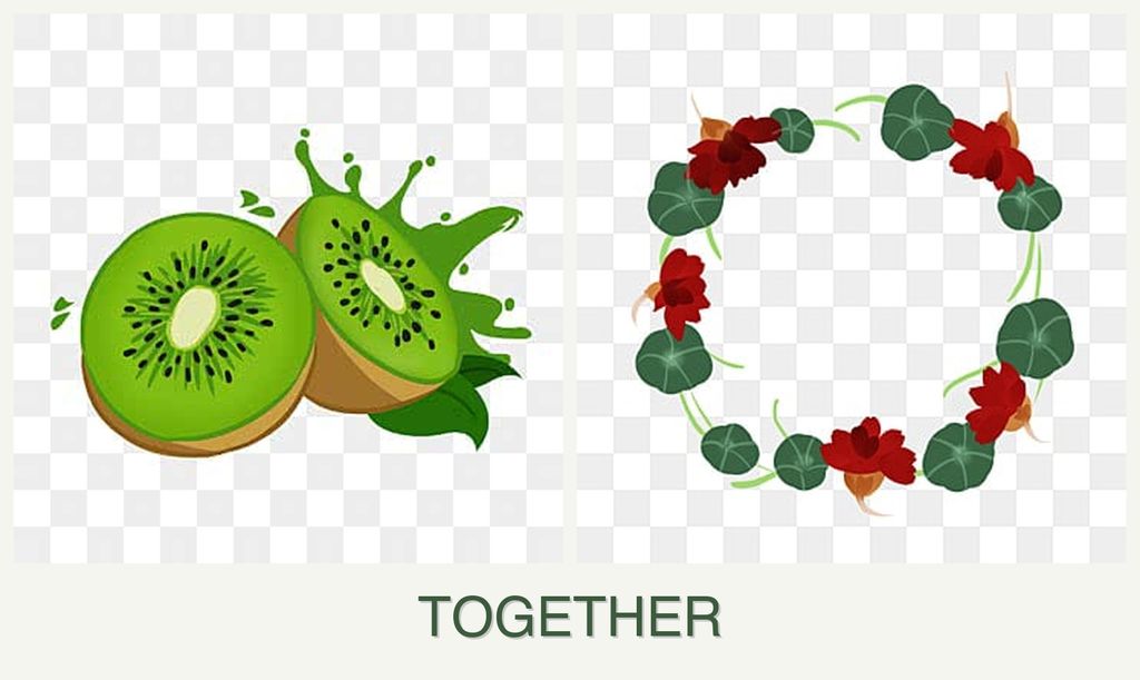 Can you plant kiwi and nasturtiums together?