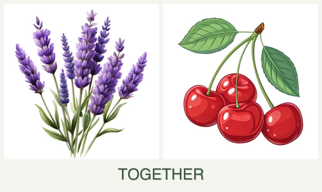 Can you plant lavender and cherries together?